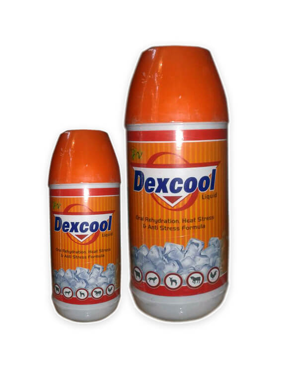 Dexcool Liquid