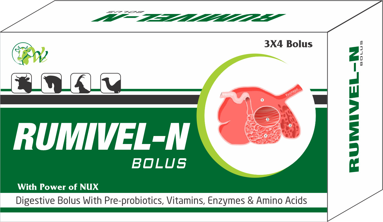 RUMIVEL-N BOLUS