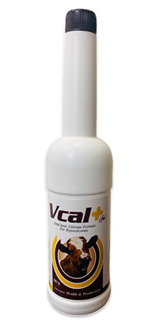 Vcal+ Gel